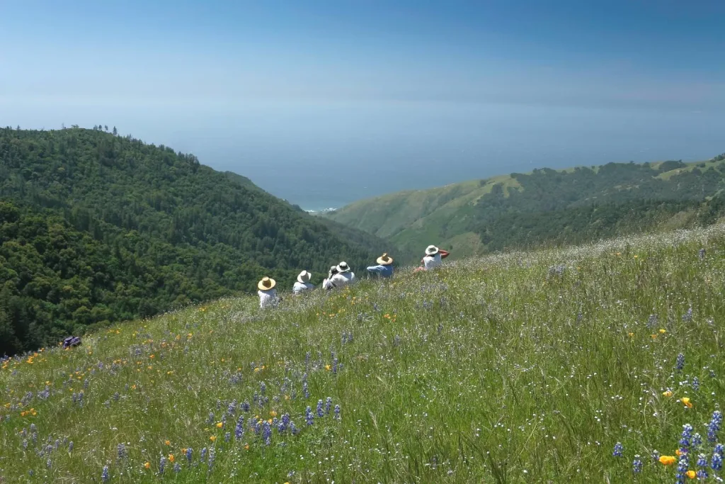 Hikers overlooking Big Sur